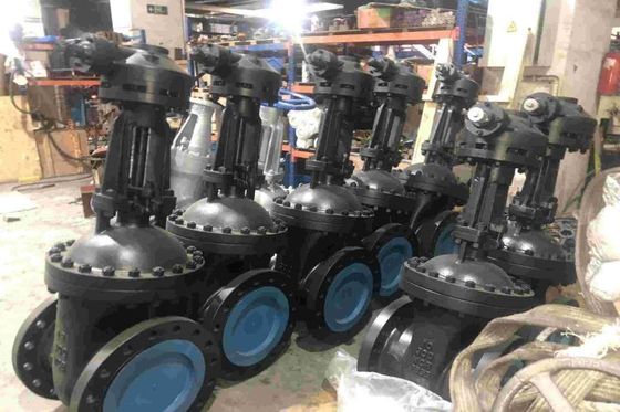 การแก้ไขบ้าน Globe Steel Valve สําหรับการใช้พาณิชย์