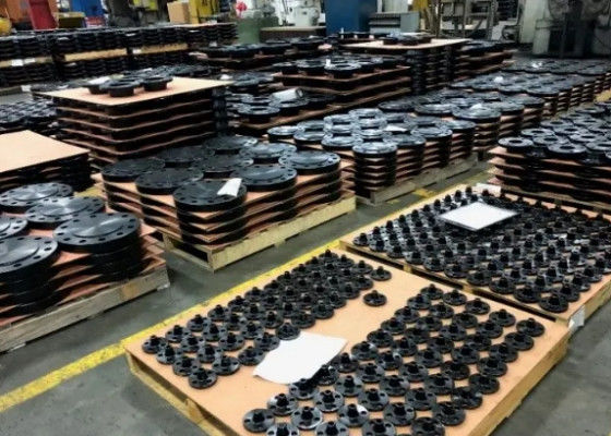 1/2-48 ฟลังส์เหล็กประเภท 900 สําหรับการเชื่อมต่อที่แข็งแกร่งและการทํางานที่น่าเชื่อถือ