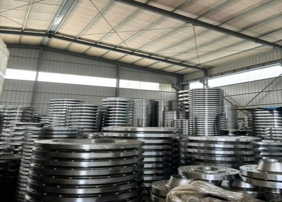 กอสตาร์ดสแตนเลส Flanges Customized Cast Steel/WCB/WC6/สแตนเลสสแตนเลส