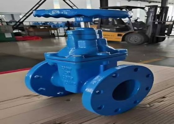 1/2 นิ้ว bolted บอนเน็ต วาล์วเหล็กสําหรับประตูวาล์ว Port ขนาด DN10-DN50 และประเภท 150lb-1500lb