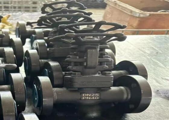 วาล์วประตูเหล็กมือด้วยหมวกบอลท์ DN10-DN50 150lb-1500lb ความต้านทานต่อการกัดกร่อนสูง